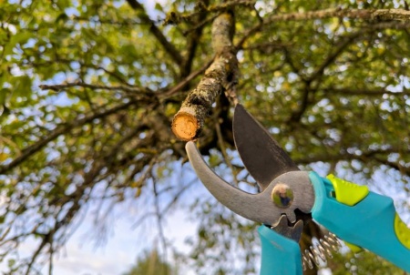 Planifiez l'entretien de votre jardin selon les saisons